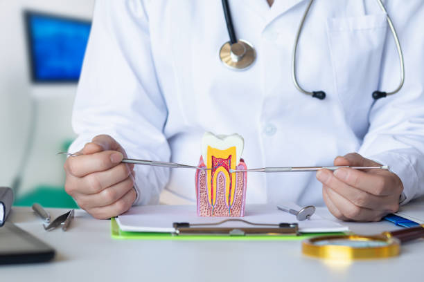Best Pediatric Emergency Dentist in Prces Lakes, IN